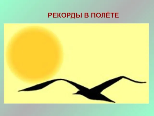 РЕКОРДЫ В ПОЛЁТЕ