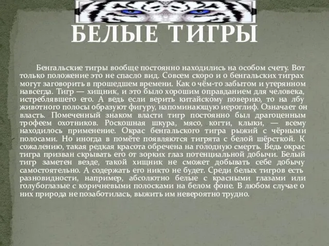 Бенгальские тигры вообще постоянно находились на особом счету. Вот только положение это