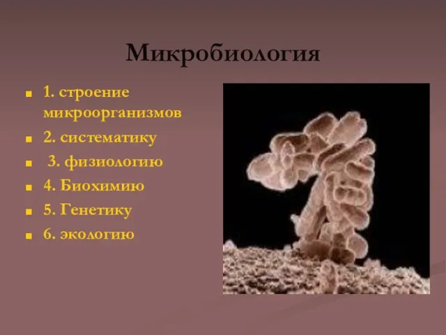 Микробиология 1. строение микроорганизмов 2. систематику 3. физиологию 4. Биохимию 5. Генетику 6. экологию