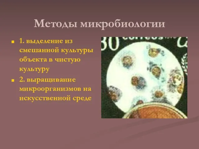 Методы микробиологии 1. выделение из смешанной культуры объекта в чистую культуру 2.