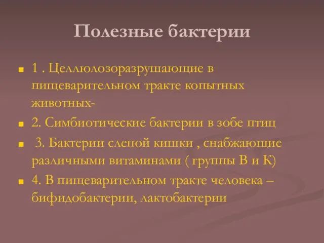 Полезные бактерии 1 . Целлюлозоразрушающие в пищеварительном тракте копытных животных- 2. Симбиотические