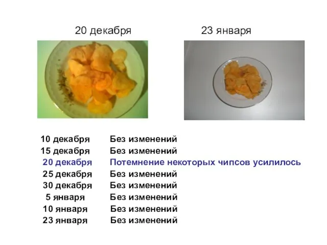 20 декабря 23 января 10 декабря Без изменений 15 декабря Без изменений