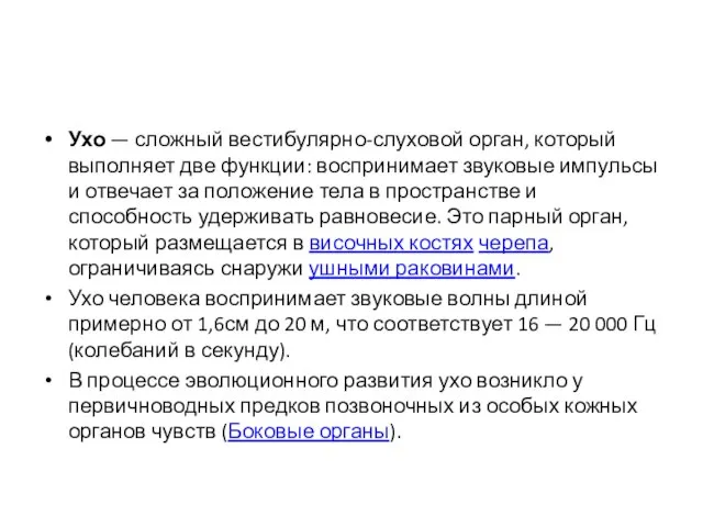 Что такое ухо? Ухо — сложный вестибулярно-слуховой орган, который выполняет две функции: