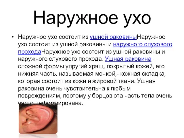 Наружное ухо Наружное ухо состоит из ушной раковиныНаружное ухо состоит из ушной