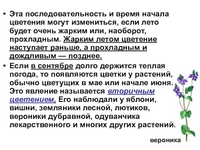 Эта последовательность и время начала цветения могут измениться, если лето будет очень