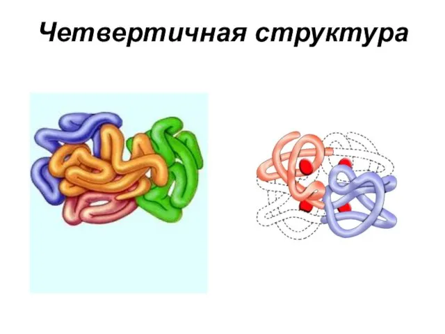 Четвертичная структура