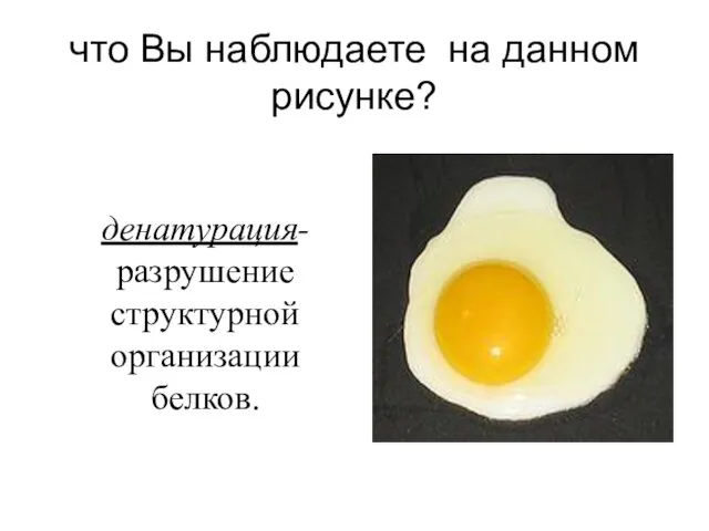 что Вы наблюдаете на данном рисунке? денатурация- разрушение структурной организации белков.