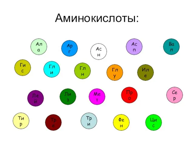 Аминокислоты: Ала Арг Асн Асп Вал Гис Гли Глн Глу Иле Лей