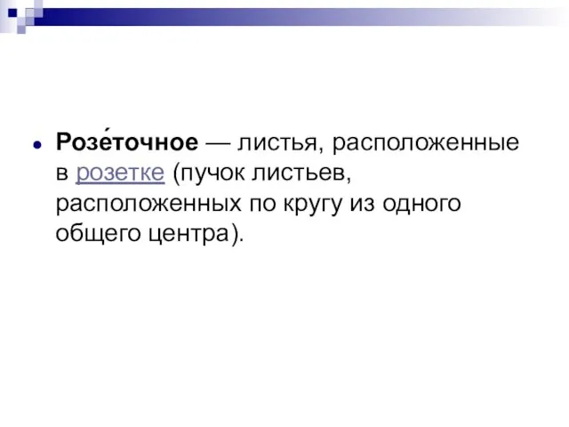 Розе́точное — листья, расположенные в розетке (пучок листьев, расположенных по кругу из одного общего центра).