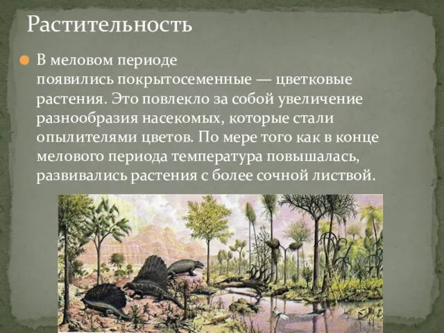 В меловом периоде появились покрытосеменные — цветковые растения. Это повлекло за собой