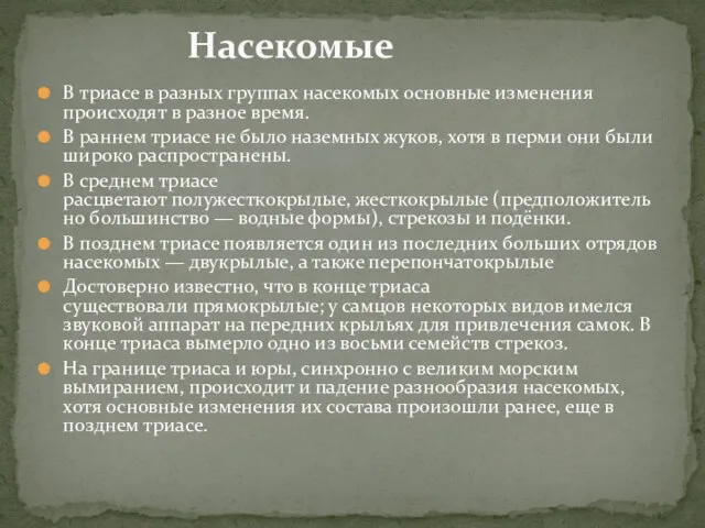 В триасе в разных группах насекомых основные изменения происходят в разное время.