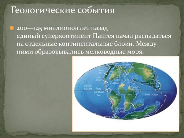 200—145 миллионов лет назад единый суперконтинент Пангея начал распадаться на отдельные континентальные