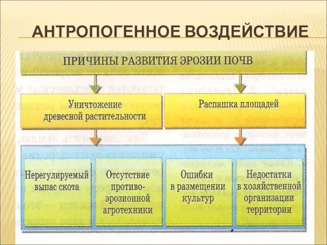 АНТРОПОГЕННОЕ ВОЗДЕЙСТВИЕ