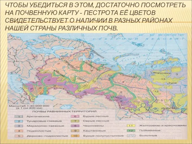 ЧТОБЫ УБЕДИТЬСЯ В ЭТОМ, ДОСТАТОЧНО ПОСМОТРЕТЬ НА ПОЧВЕННУЮ КАРТУ - ПЕСТРОТА ЕЁ