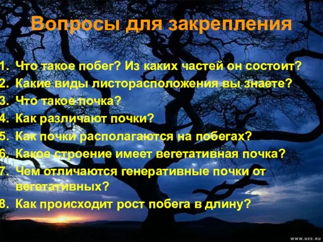 Вопросы для закрепления Что такое побег? Из каких частей он состоит? Какие