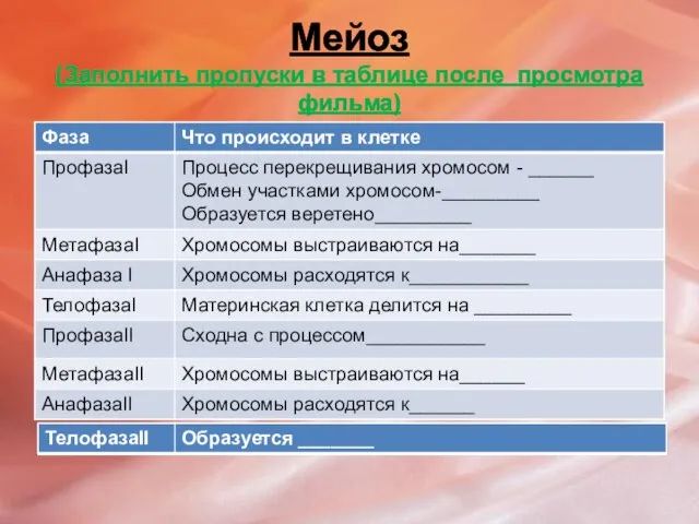 Мейоз (Заполнить пропуски в таблице после просмотра фильма)