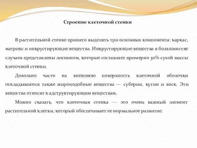 Строение клеточной стенки В растительной стенке принято выделять три основных компонента: каркас,