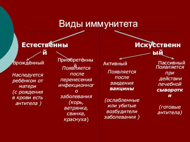 Виды иммунитета Естественный Искусственный Врождённый Приобретённый Наследуется ребёнком от матери (с рождения