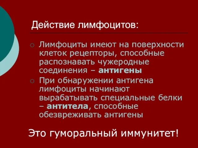 Действие лимфоцитов: Лимфоциты имеют на поверхности клеток рецепторы, способные распознавать чужеродные соединения