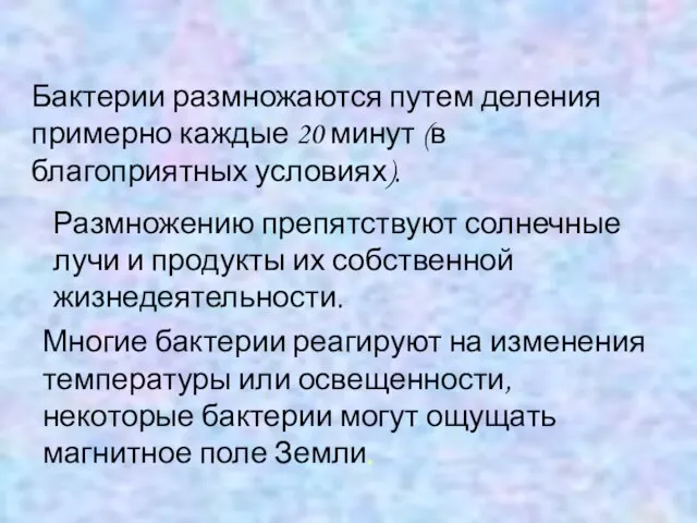 По способу дыхания бактерии делятся на аэробов (большинство бактерий) и анаэробов (возбудители