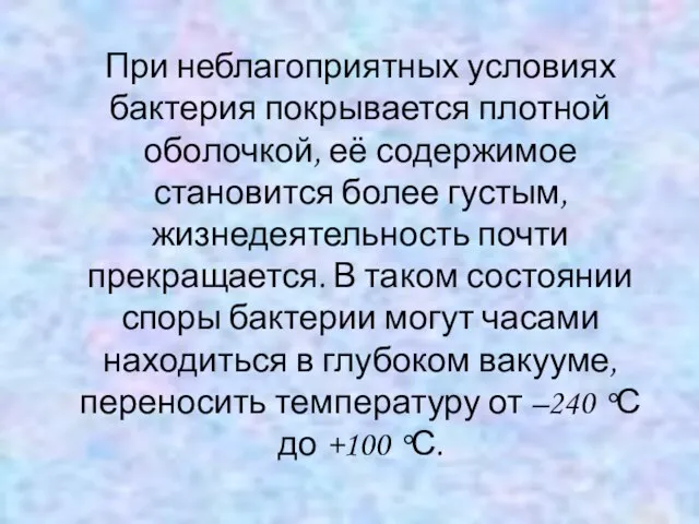 При неблагоприятных условиях бактерия покрывается плотной оболочкой, её содержимое становится более густым,