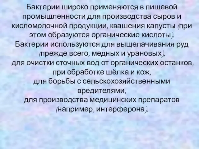 Бактерии широко применяются в пищевой промышленности для производства сыров и кисломолочной продукции,