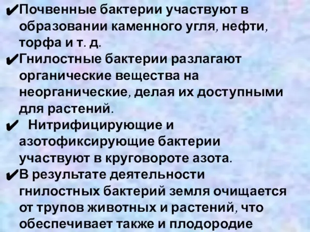 Значение бактерий в природе Почвенные бактерии участвуют в образовании каменного угля, нефти,