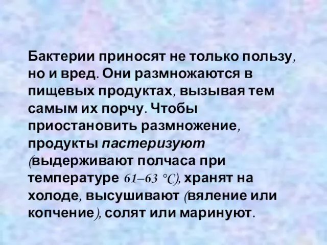 Бактерии приносят не только пользу, но и вред. Они размножаются в пищевых