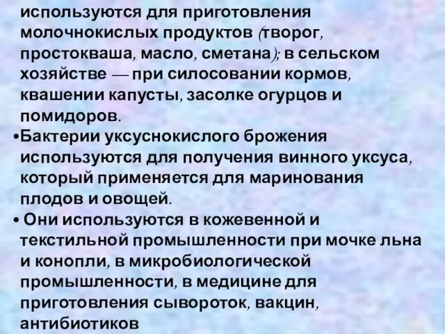 Значение бактерий в жизни человека Бактерии молочнокислого брожения используются для приготовления молочнокислых