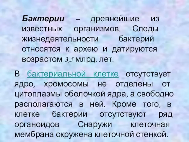 Бактерии – древнейшие из известных организмов. Следы жизнедеятельности бактерий относятся к архею