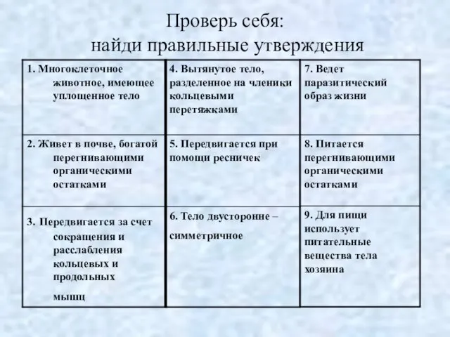 Проверь себя: найди правильные утверждения