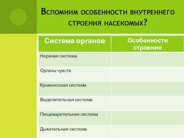 Вспомним особенности внутреннего строения насекомых?