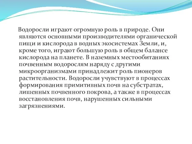 Водоросли играют огромную роль в природе. Они являются основными производителями органической пищи