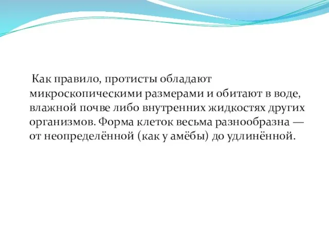 Как правило, протисты обладают микроскопическими размерами и обитают в воде, влажной почве