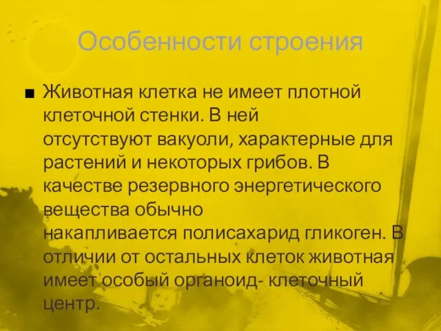 Особенности строения Животная клетка не имеет плотной клеточной стенки. В ней отсутствуют