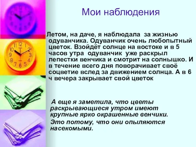 Мои наблюдения Летом, на даче, я наблюдала за жизнью одуванчика. Одуванчик очень