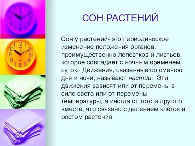 СОН РАСТЕНИЙ Сон у растений- это периодическое изменение положения органов, преимущественно лепестков