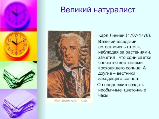 Великий натуралист Карл Линней (1707-1778). Великий шведский естествоиспытатель, наблюдая за растениями, заметил