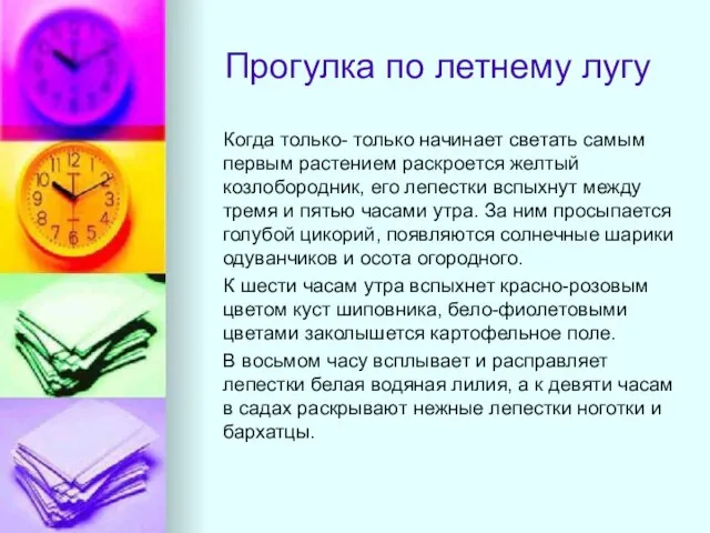 Прогулка по летнему лугу Когда только- только начинает светать самым первым растением