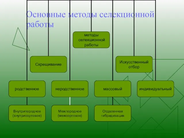 Основные методы селекционной работы