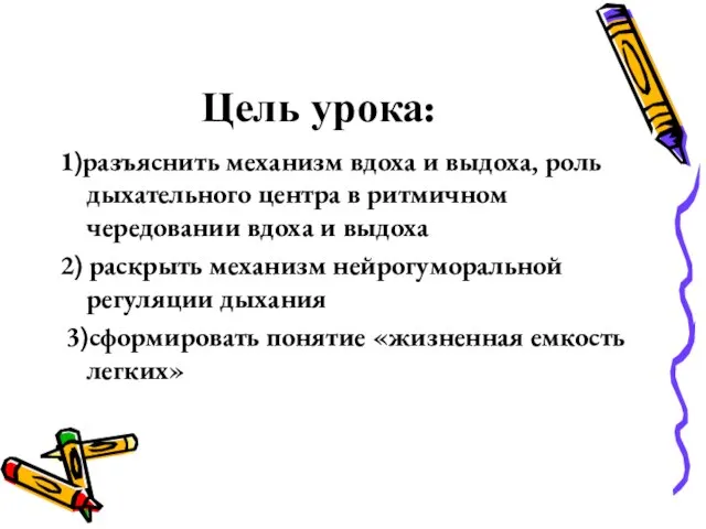 Цель урока: 1)разъяснить механизм вдоха и выдоха, роль дыхательного центра в ритмичном