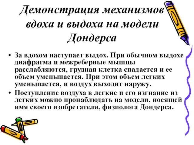 Демонстрация механизмов вдоха и выдоха на модели Дондерса За вдохом наступает выдох.