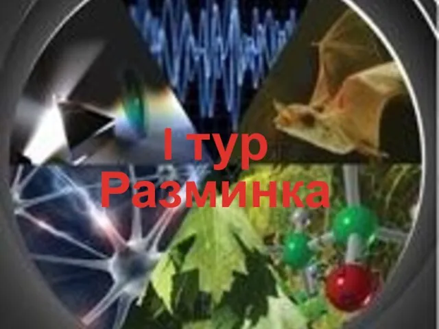 I тур Разминка