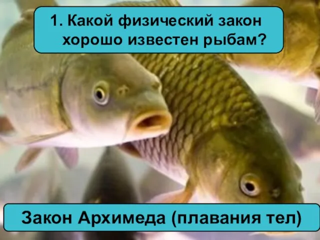 Какой физический закон хорошо известен рыбам? Закон Архимеда (плавания тел)