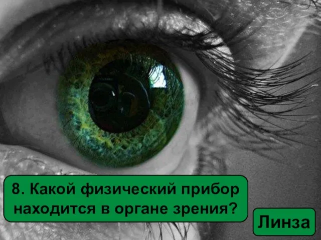 8. Какой физический прибор находится в органе зрения? Линза