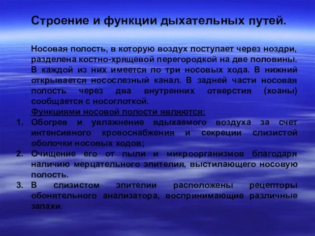 Строение и функции дыхательных путей. Носовая полость, в которую воздух поступает через