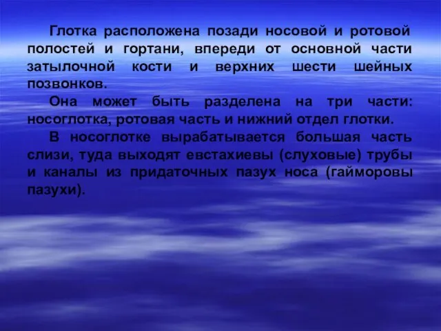 Глотка расположена позади носовой и ротовой полостей и гортани, впереди от основной