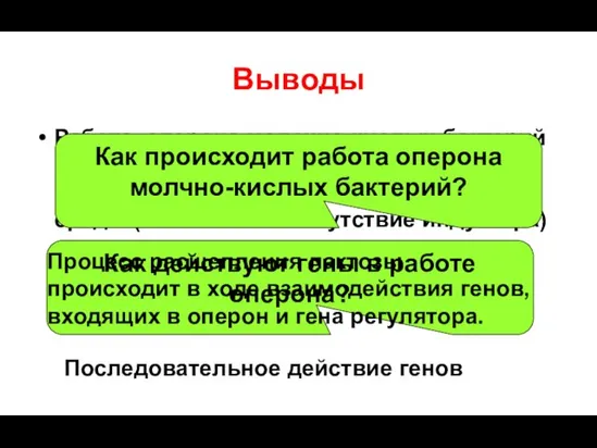 Выводы Работа оперона молочно-кислых бактерий происходит в результате деятельности белка репрессора и