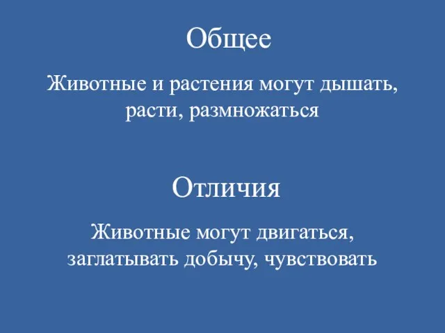 Животные и растения могут дышать, расти, размножаться Общее Отличия Животные могут двигаться, заглатывать добычу, чувствовать