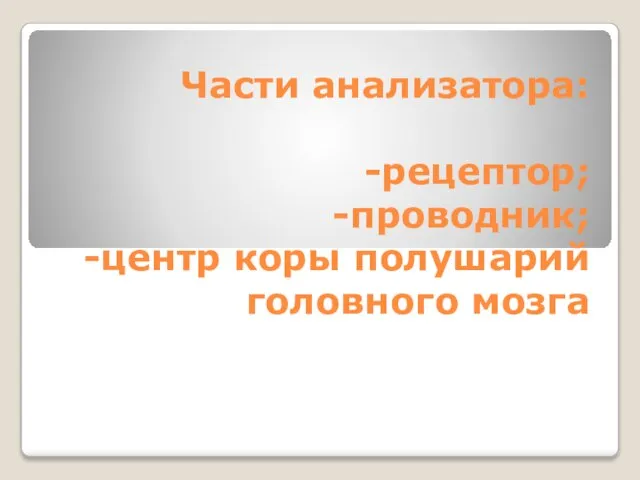 Части анализатора: -рецептор; -проводник; -центр коры полушарий головного мозга